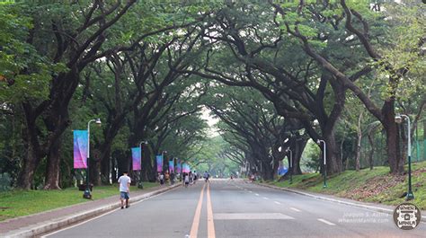 betway up diliman|Find Your Strong: A Brief Intro to UP Diliman Running Routes.